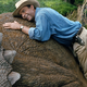 Image: Jurassic Park